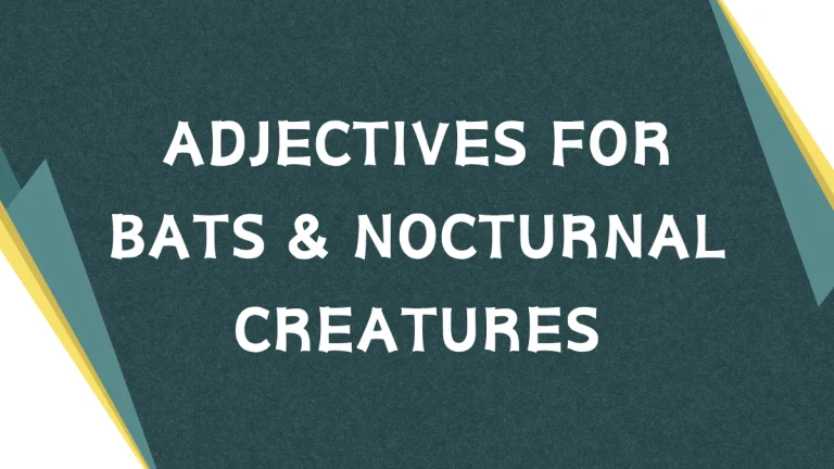 Describing Bats: A Guide to Adjectives for Bat Enthusiasts Describing Bats: A Guide to Adjectives for Bat Enthusiasts