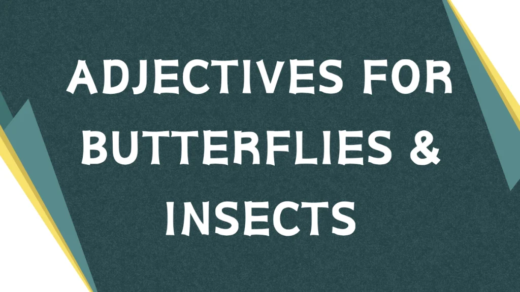Adjectives for Butterflies: A Descriptive Guide Adjectives for Butterflies: A Descriptive Guide
