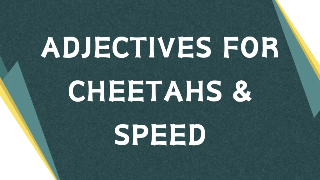 Describing Cheetahs: A Guide to Adjectives