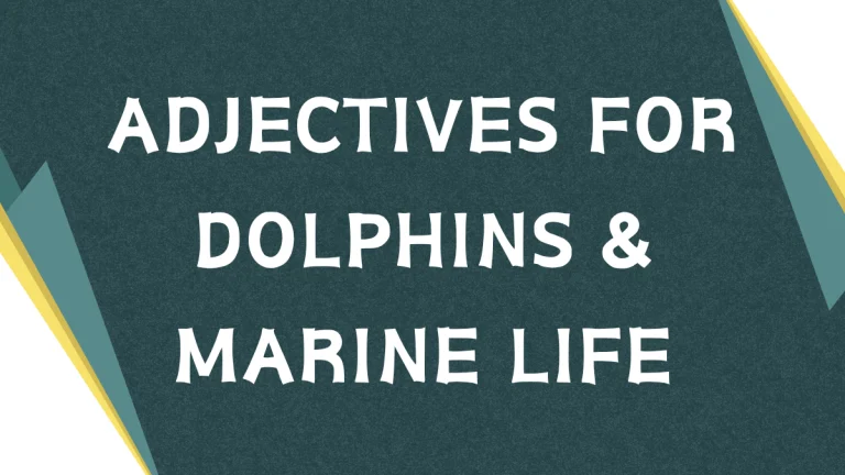 Describing Dolphins: A Guide to Adjectives for Marine Life