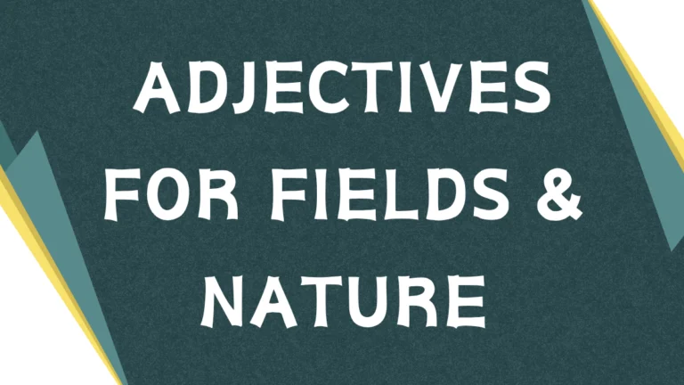 Adjectives for 'Field': A Comprehensive Guide