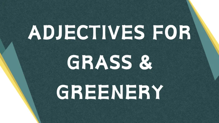 Describing Grass: A Comprehensive Guide to Adjectives