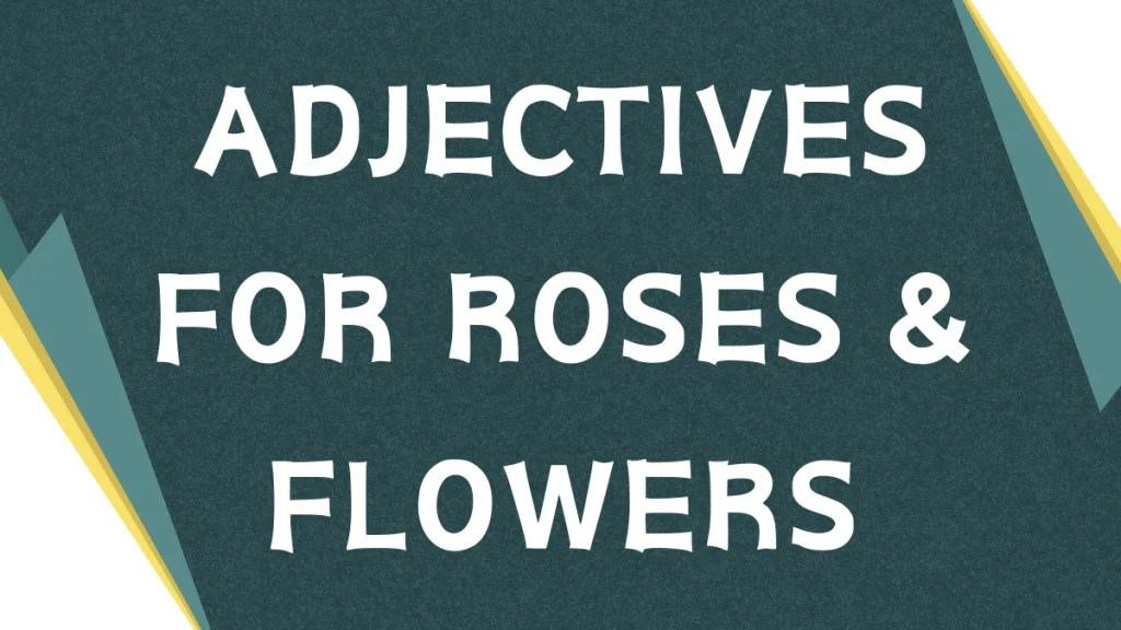 Describing Roses: A Comprehensive Guide to Adjectives