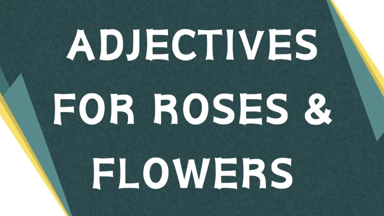 Describing Roses: A Comprehensive Guide to Adjectives Describing Roses: A Comprehensive Guide to Adjectives