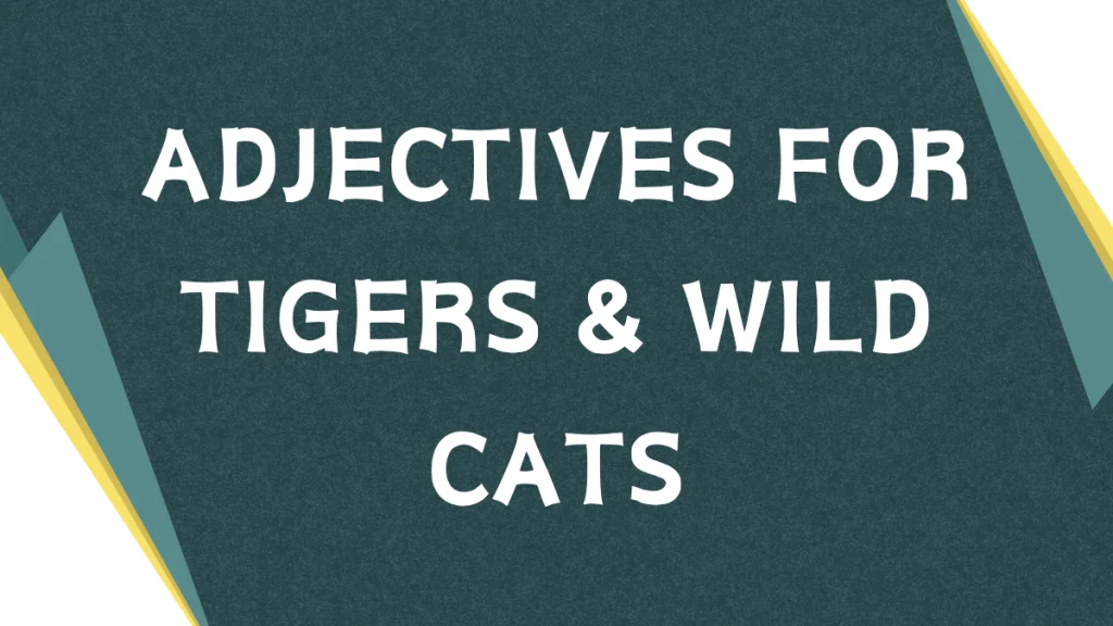 Describing Tigers: A Guide to Adjectives for Majestic Felines