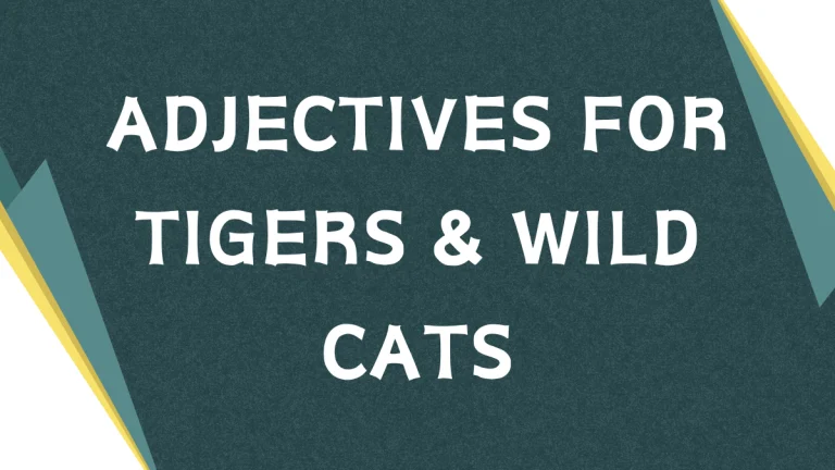 Describing Tigers: A Guide to Adjectives for Majestic Felines