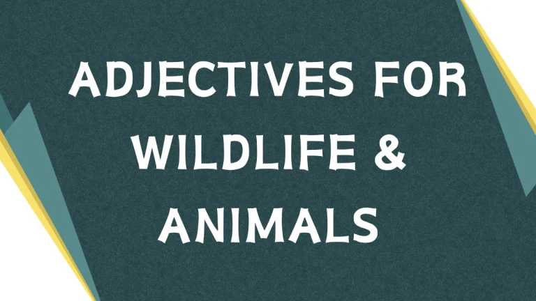 Describing Wildlife: Mastering Adjectives in English