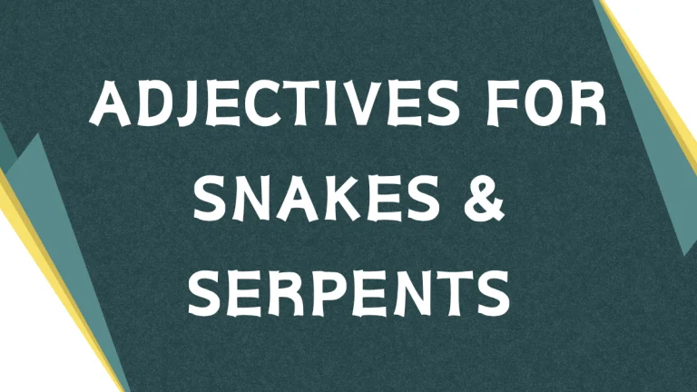 Describing Serpents: A Guide to Adjectives for Snakes
