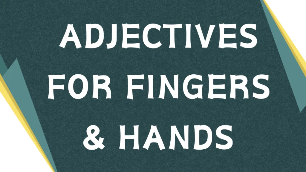 Describing Digits: A Guide to Adjectives for Fingers Describing Digits: A Guide to Adjectives for Fingers