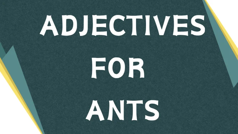 Adjectives for Ants: A Comprehensive Guide