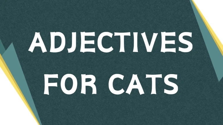 Describing Cats: A Comprehensive Guide to Adjectives