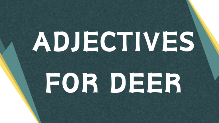 Describing Deer: A Comprehensive Guide to Adjectives