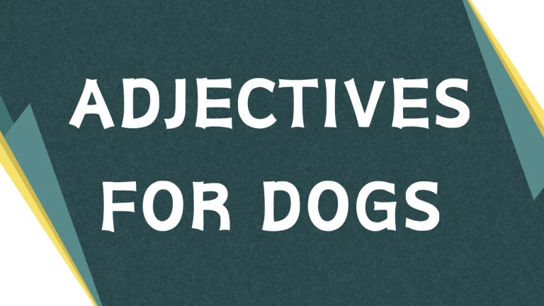 Describing Our Canine Companions: Adjectives for Dogs