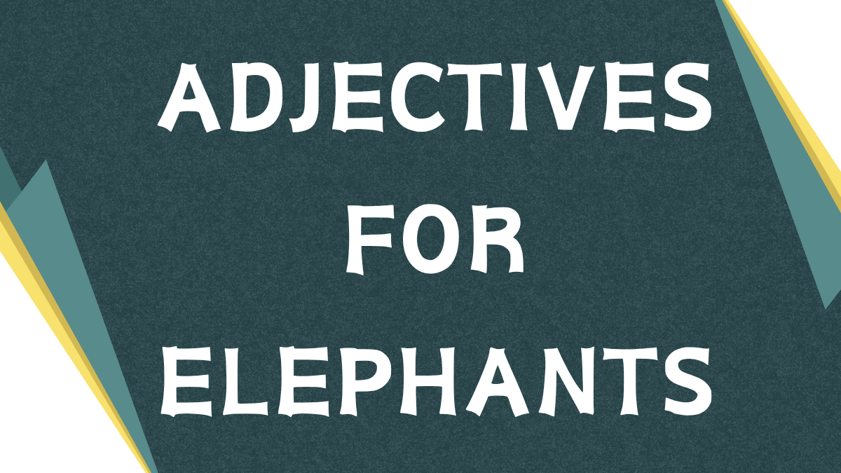 Describing Elephants: A Guide to Adjectives Describing Elephants: A Guide to Adjectives
