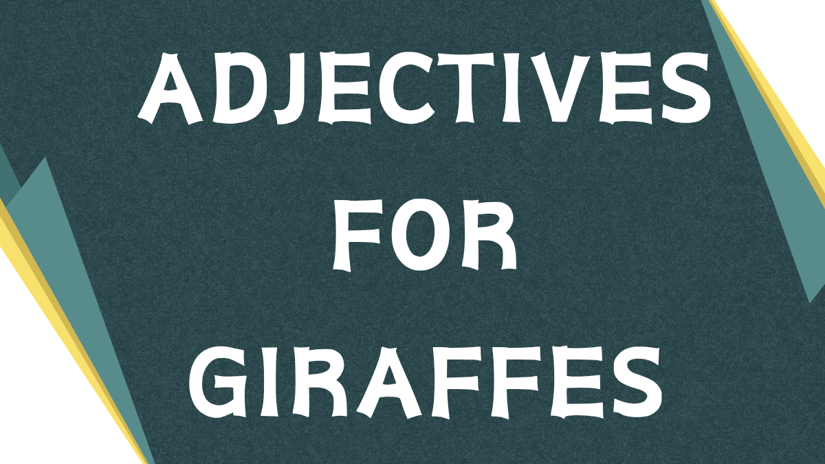 Describing Giraffes: A Comprehensive Guide to Adjectives