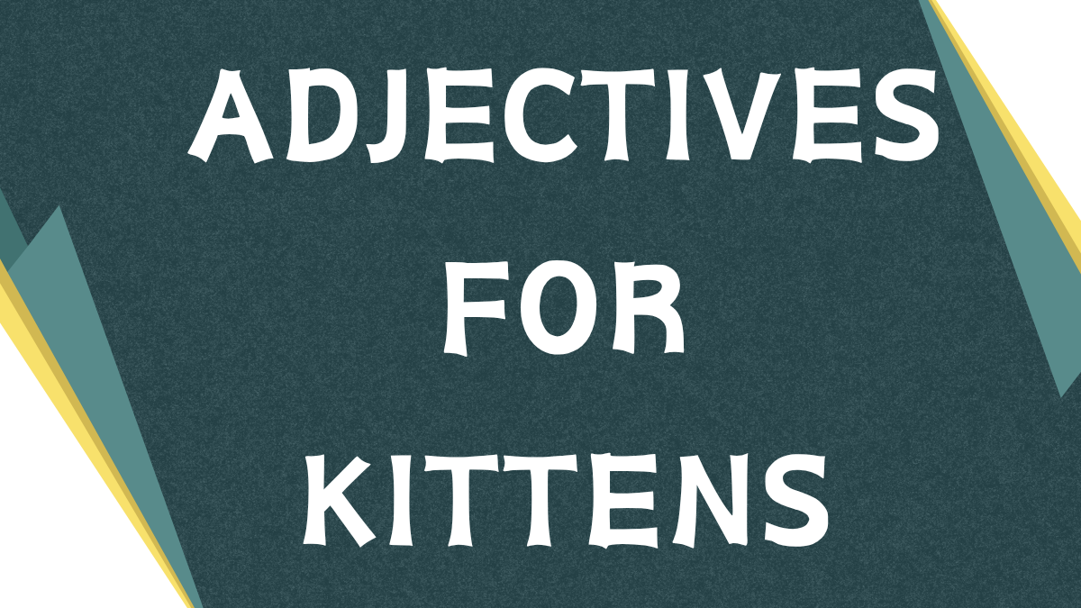 Describing Kittens: A Guide to Adjectives for Felines