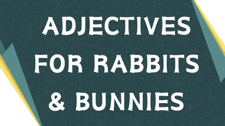 Describing Rabbits: A Comprehensive Guide to Adjectives