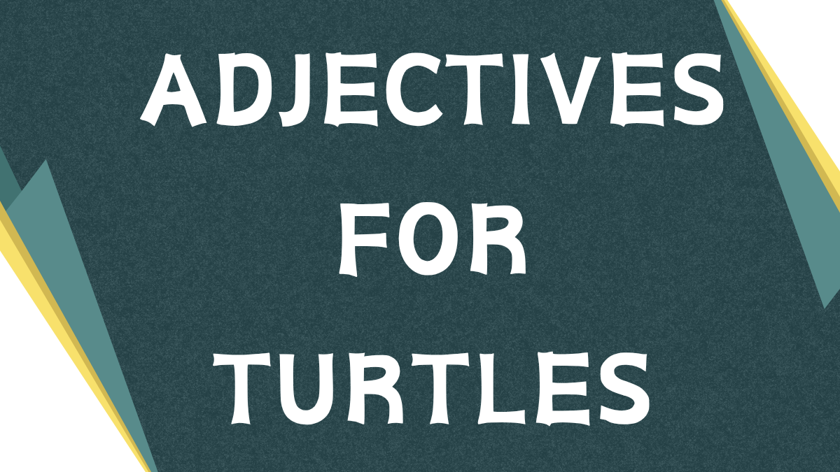 Describing Turtles: A Guide to Adjectives for Turtle Enthusiasts Describing Turtles: A Guide to Adjectives for Turtle Enthusiasts
